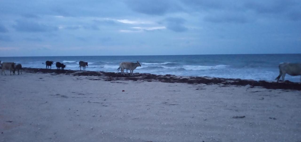 Portadosoljeri Hotell Jijoca de Jericoacoara Eksteriør bilde